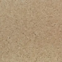 659