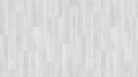 THH_ACCZENTPRO_BERNE1