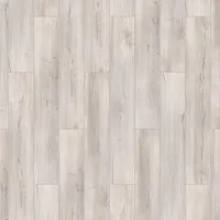 504466005