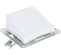 53820503