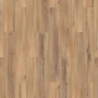 00-00028293
