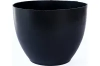 66321523
