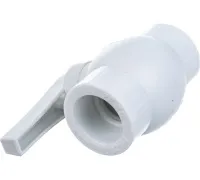 54559862
