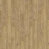 23034355021