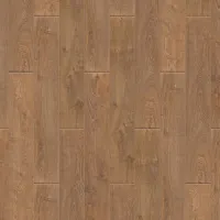540415003
