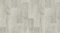 THH_STIMUL_RIGARD4