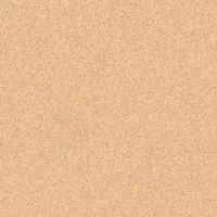 TH_Primo_Plus_304_01