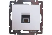 53856497