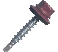 55052434