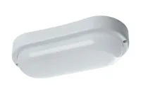 52539432